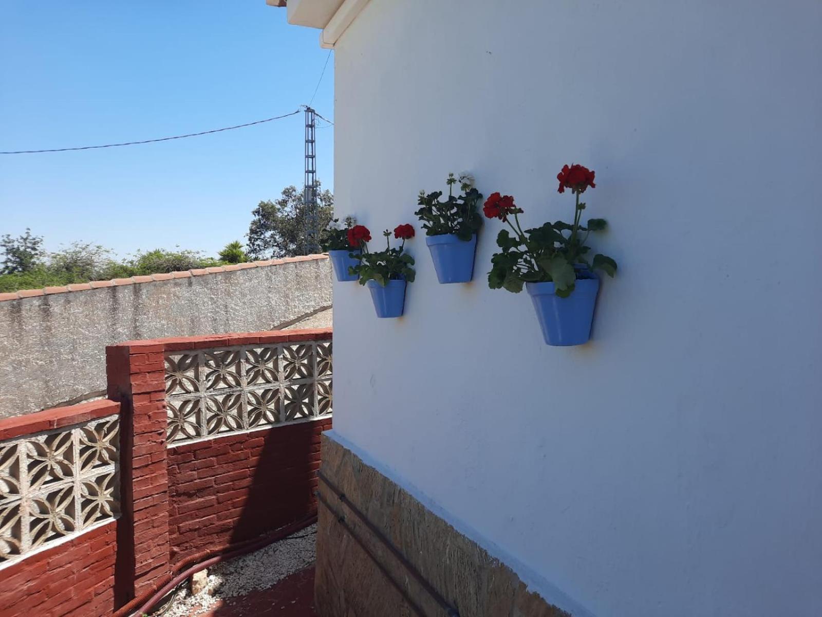 Вилла Casa Palma Альхаурин-де-ла-Торре Экстерьер фото